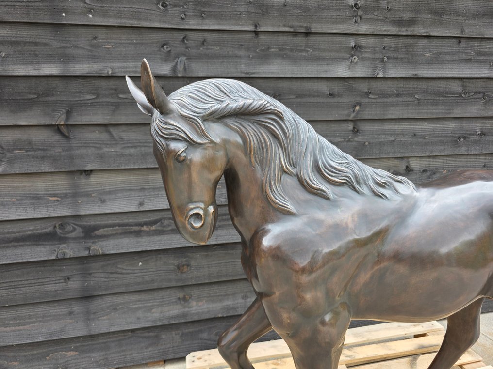Άγαλμα, XL Bronze Horse - 104 cm - Μπρούντζος - 2025 #4.3