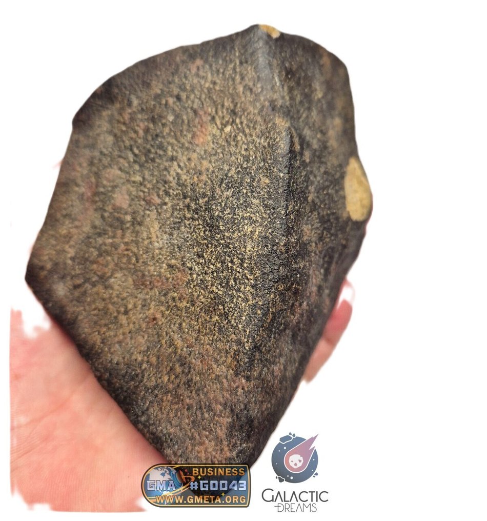 "NWA 17599" MAIN MASS Fresh Eucrite (unbrecciated) HED Achondrite Meteorite 1280g HED Achondrite - Unbrecciated Eucrite - 1280 g #3.2