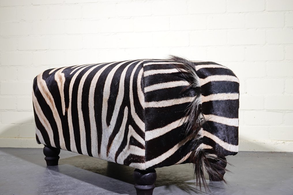 Steppenzebra Taxidermie-Wandmontage - equus burchelli - 48 cm - 90 cm - 52 cm - 1 #3.2