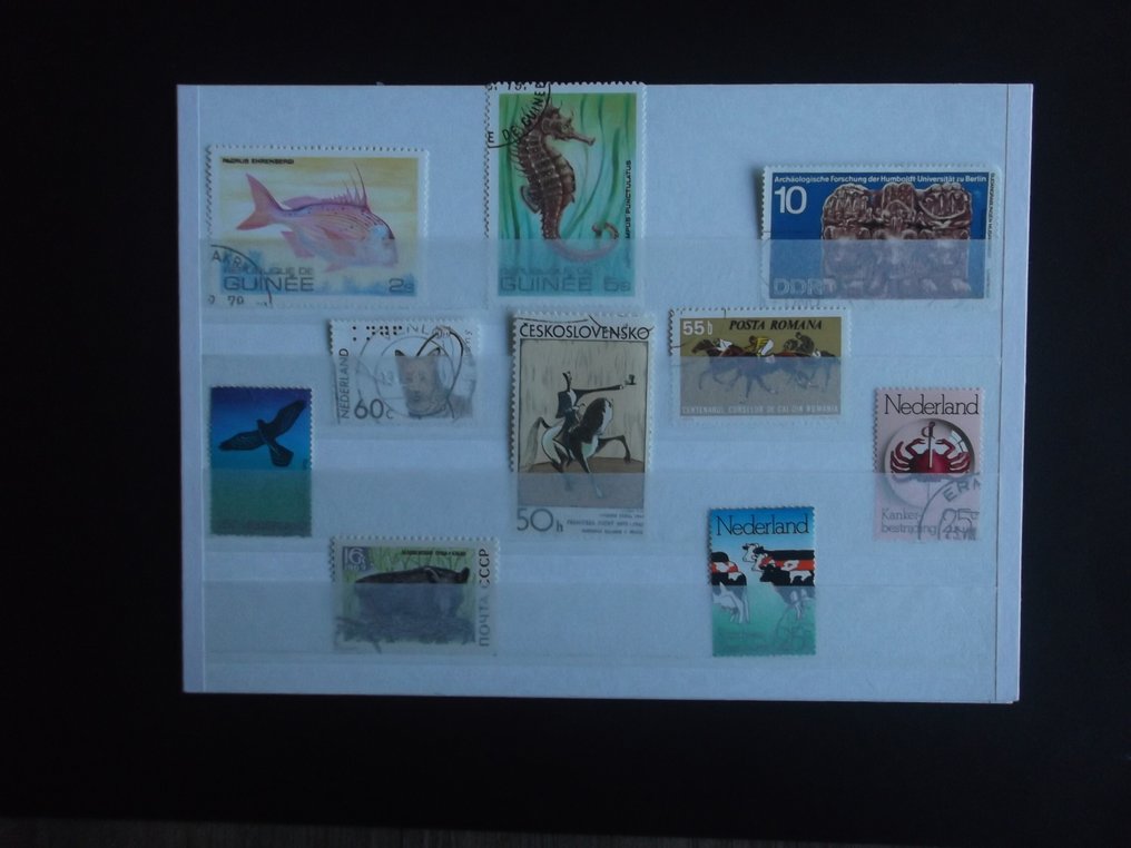 World  - Fauna according to description. #1.0