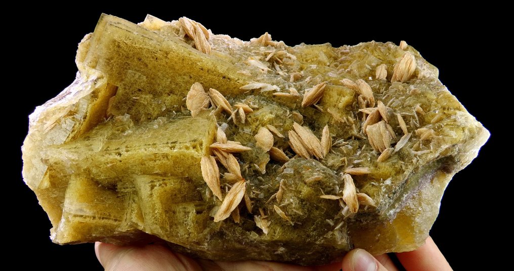 Yellow Fluorite with Baryte - Le Rossignol mine, Chaillac, Indre, France - Height: 21.0 cm - Width: 11.0 cm- 4443 g #1.0