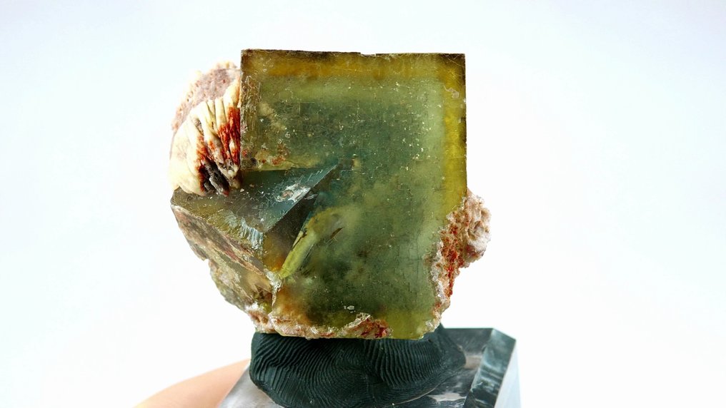 Bliźniak fluorytu z obszarami, z barytem. El Hameda, Jorf, Anti-Atlas, Maroko - Wysokość: 4.2 cm - Szerokość: 3.7 cm- 105 g #1.0