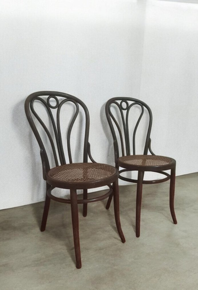 Thonet - 椅子 (2) - 山毛榉 #1.0