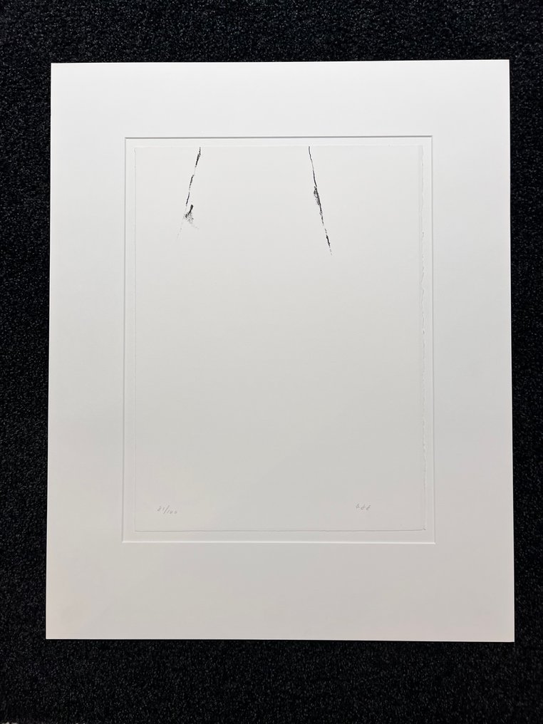 Armando (1929-2018) - Gingo Biloba - 1988 #2.1