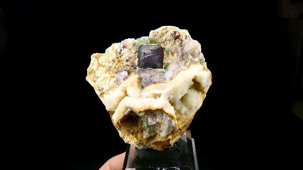 Οκταέδρου φθορίτη σε χαλαζία. Ορυχείο La Barre, Combrailles, Auvergne, Γαλλία. - Ύψος: 6.8 cm - Πλάτος: 6.2 cm- 141 g #1.0