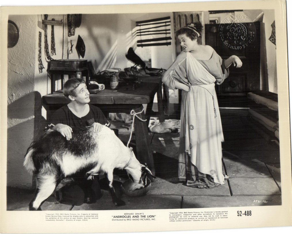 电影照片 - 电影剧照 - 主要来自1950年代的美国电影 - 多数状态良好 / 有压印 - 明信片 (98) - 1950-1960 #1.0