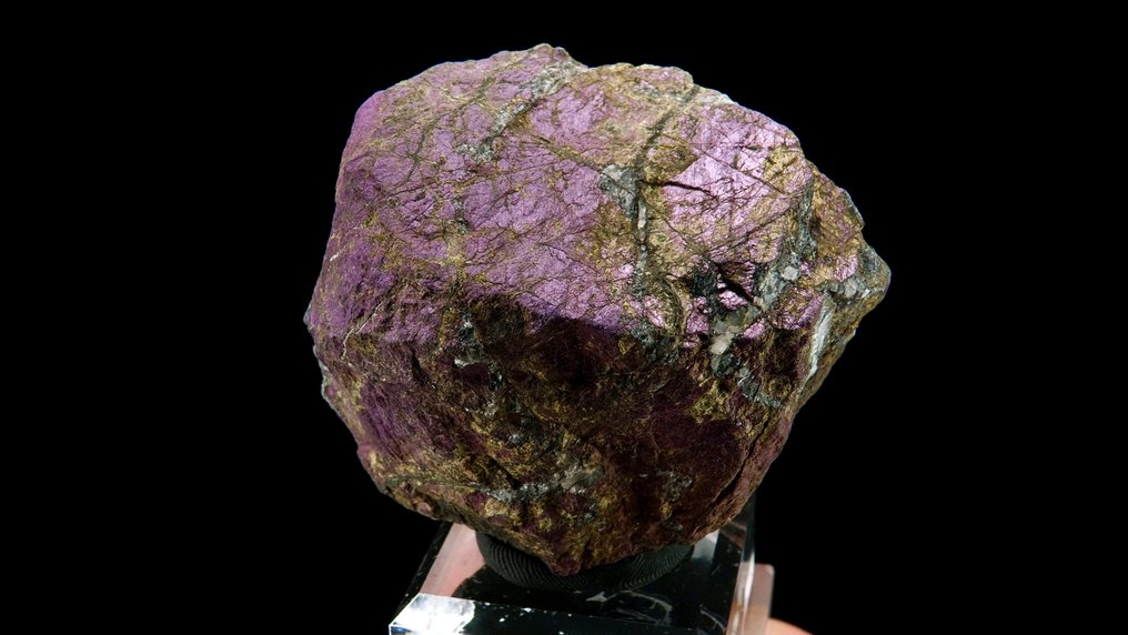 Purpuryt - - Wysokość: 7 cm - Szerokość: 4.8 cm- 236 g #2.1