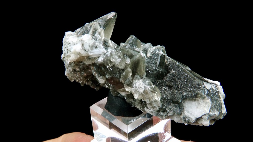 Calzit mit Phantomen - Anduze, Gard, Cévennes, Frankreich - Höhe: 6.7 cm - Breite: 3.5 cm- 56 g #4.3