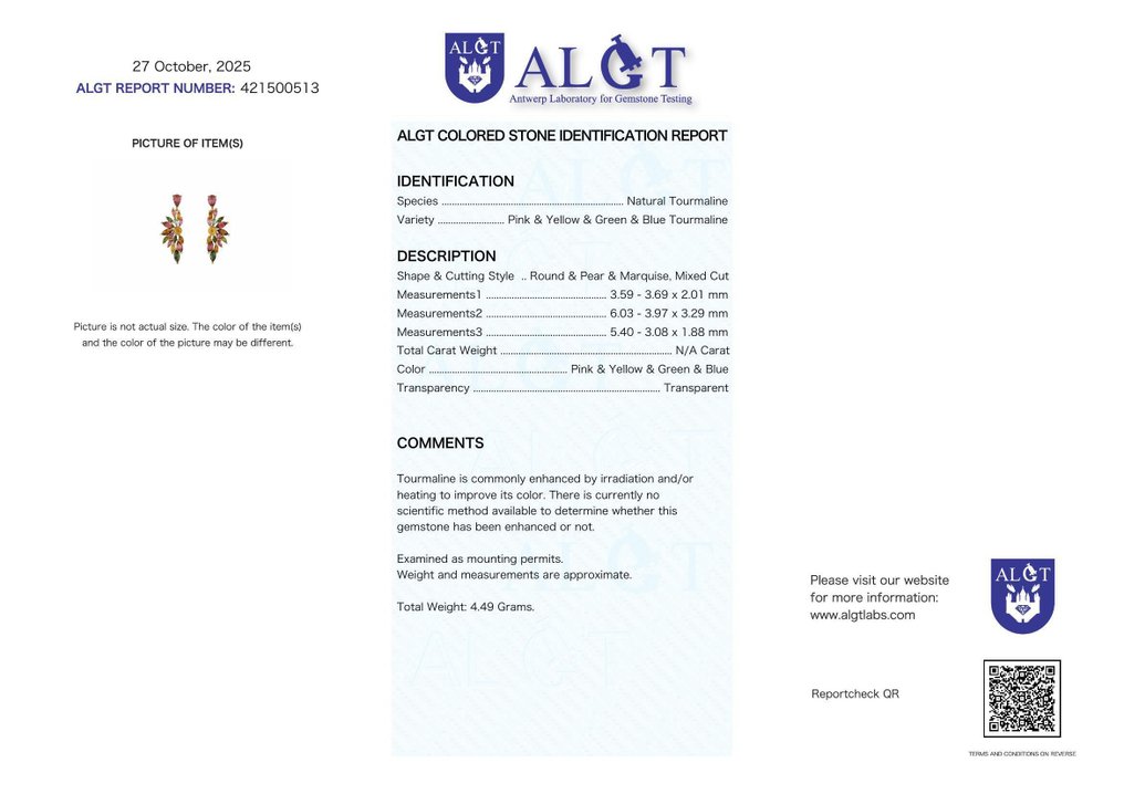 沒有保留價 - 耳環 銀 - 碧玺 - 已认证 #2.1
