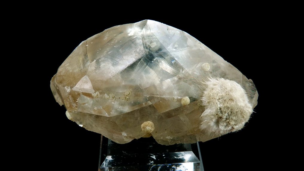 Calcite twin with Mordenite and Gyrolite - Pune, Deccan Traps, Maharashtra, India - Height: 8.3 cm - Width: 5.0 cm- 145 g #2.1