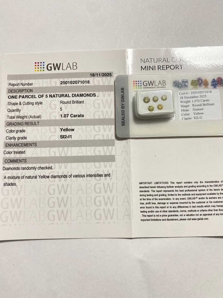 No reserve price - 5 pcs Diamond  (Colour-treated)  - 1.07 ct - Round - SI2, I1 - Gemewizard Gemological Laboratory (GWLab) #4.3