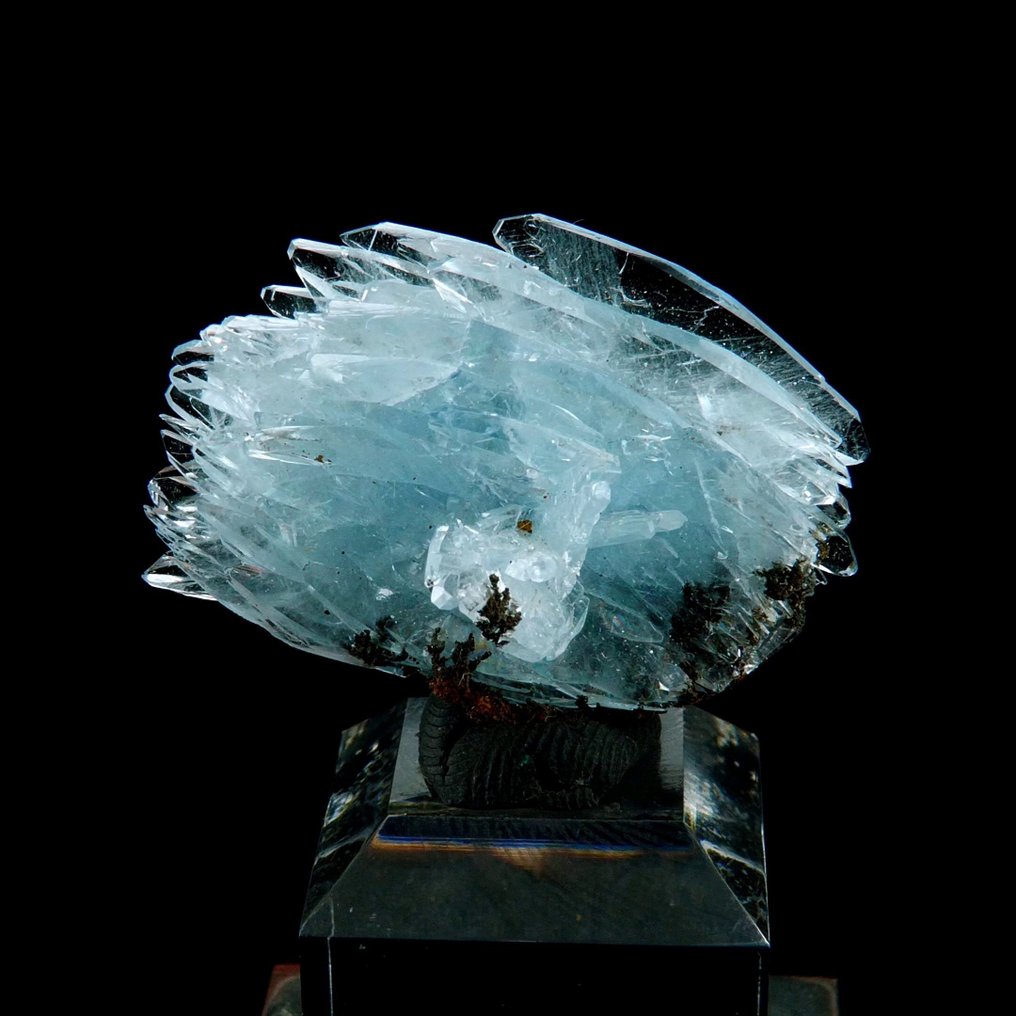 Blue Baryte - Jebel Ouichane, Nador, Morocco - Height: 3.0 cm - Width: 2.2 cm- 10 g #1.0