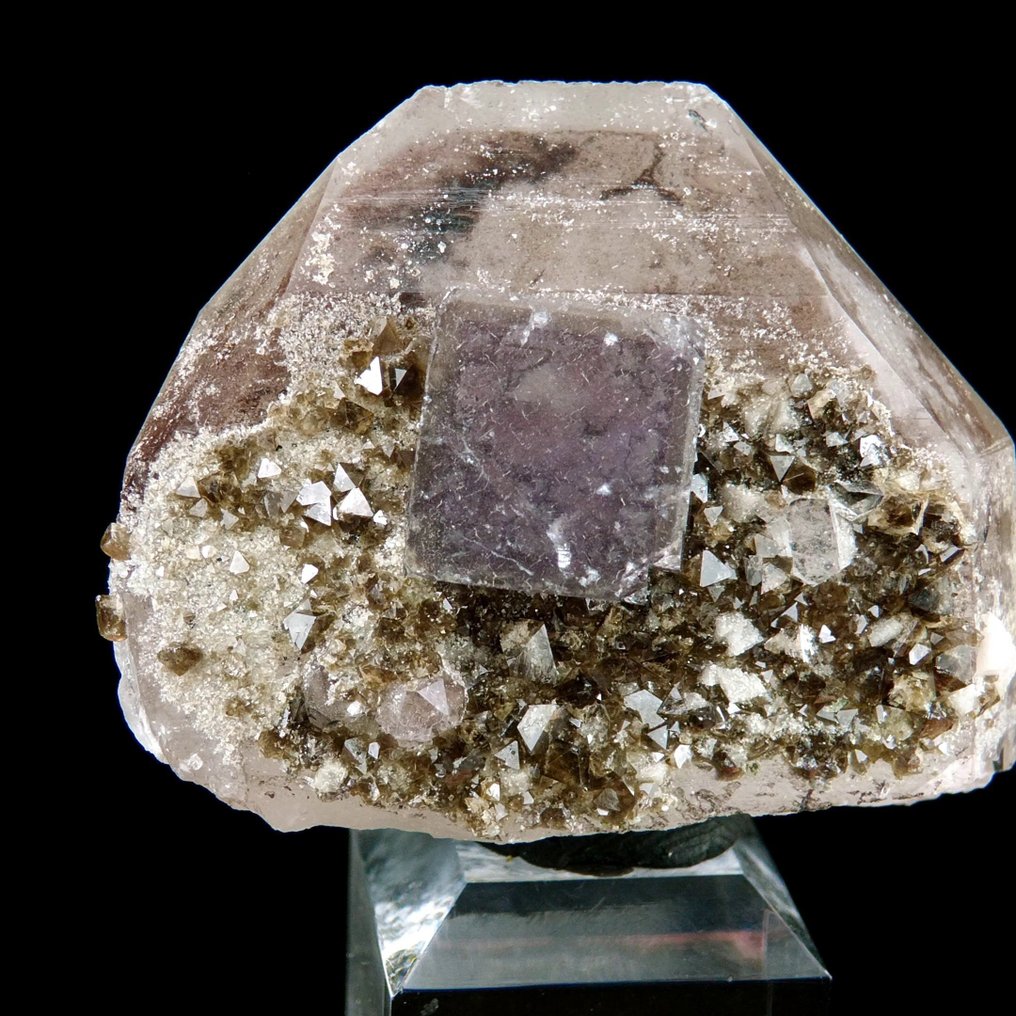 萤石与方钨矿伴生于石英中 - 耀岗县，湖南，中国 - 高度: 4 cm - 宽度: 3.4 cm- 43 g #1.0