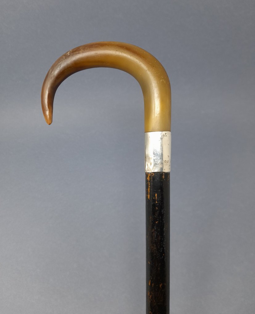 手杖 - .925 银 - 天然角弯柄 #1.0
