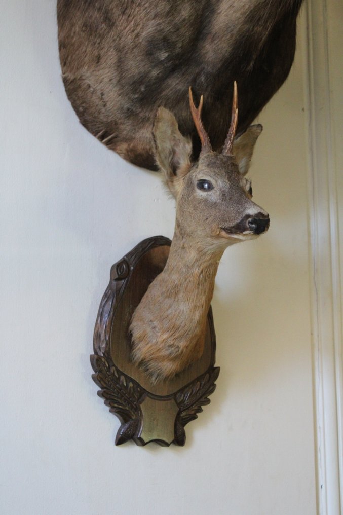 Metsästyspalkinto #1.0