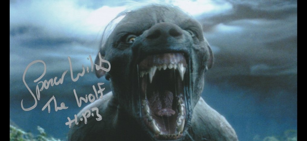 Harry Potter - Signed by Spencer Wilding (Werewolf Lupin) #4.3