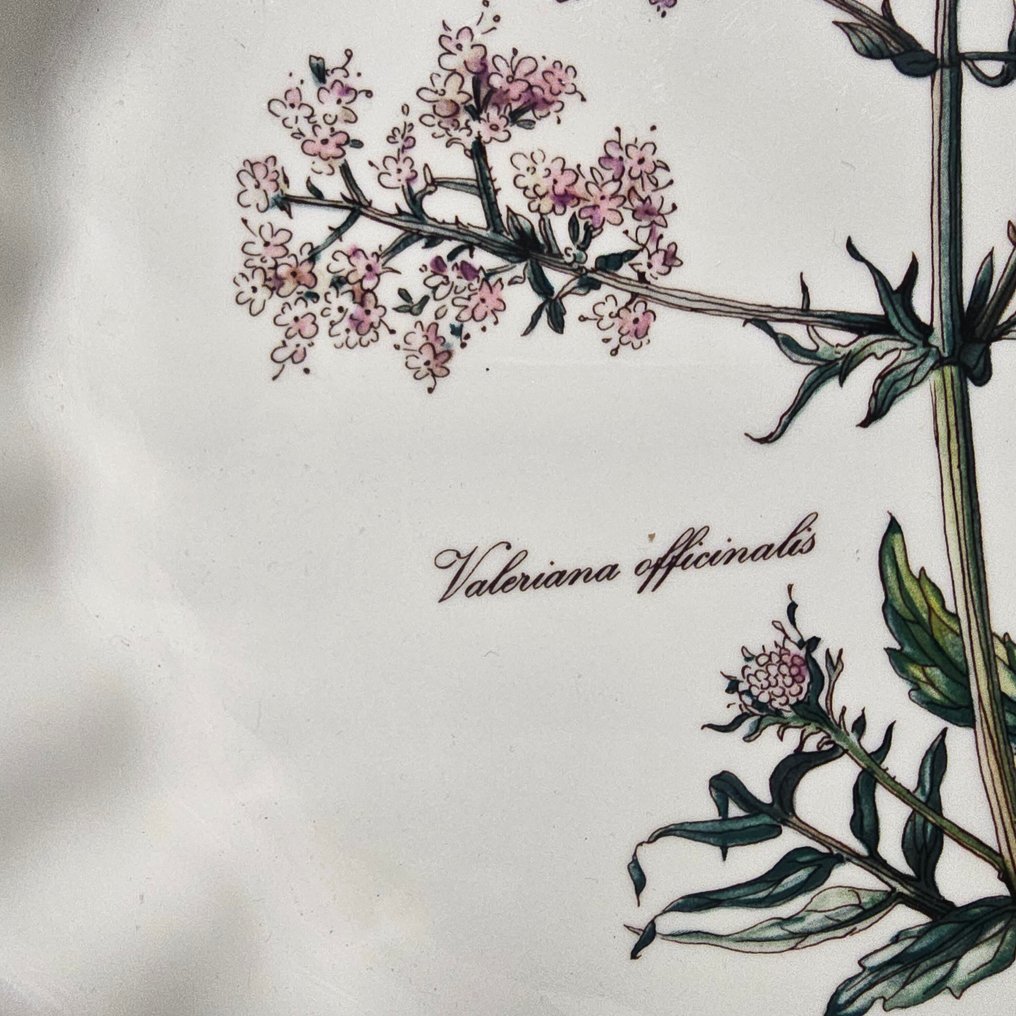 德国唯宝 - 大盘子 (2) - Botanica - 瓷 - 乳蛋饼模具和碗/盘子 #3.2