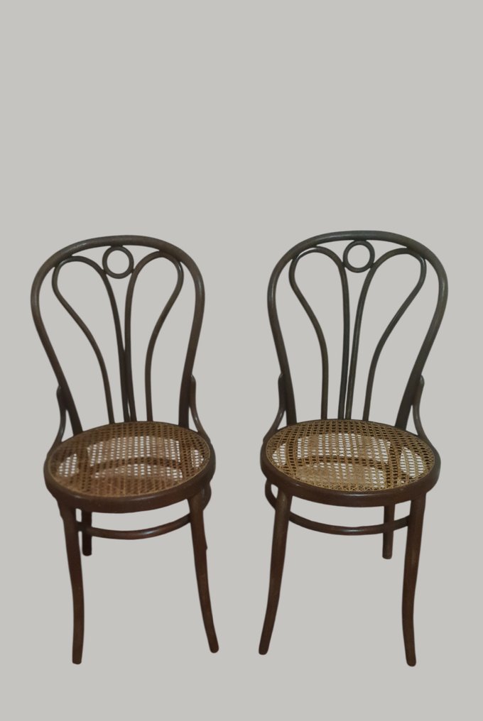 Thonet - 椅子 (2) - 山毛榉 #3.2