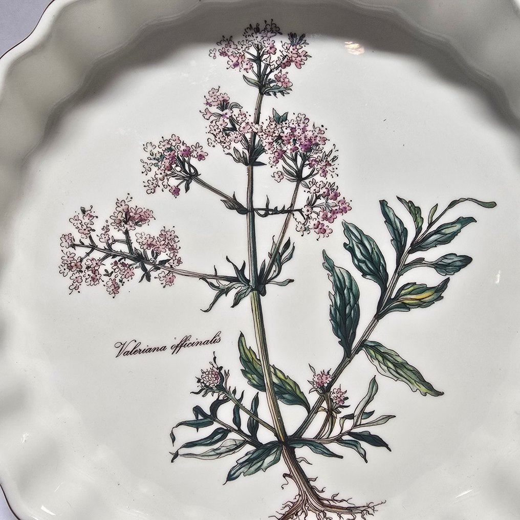 德国唯宝 - 大盘子 (2) - Botanica - 瓷 - 乳蛋饼模具和碗/盘子 #4.3