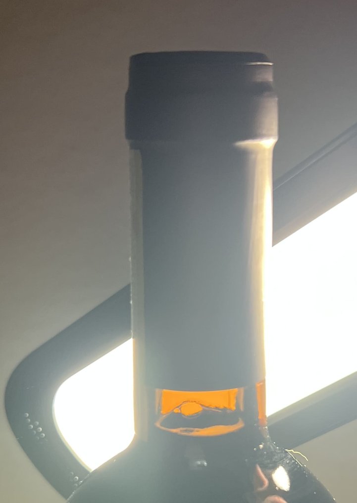 2008 Massolino, Vigna Rionda - Μπαρόλο Riserva - 1 Φιάλη (0,75L) #4.3