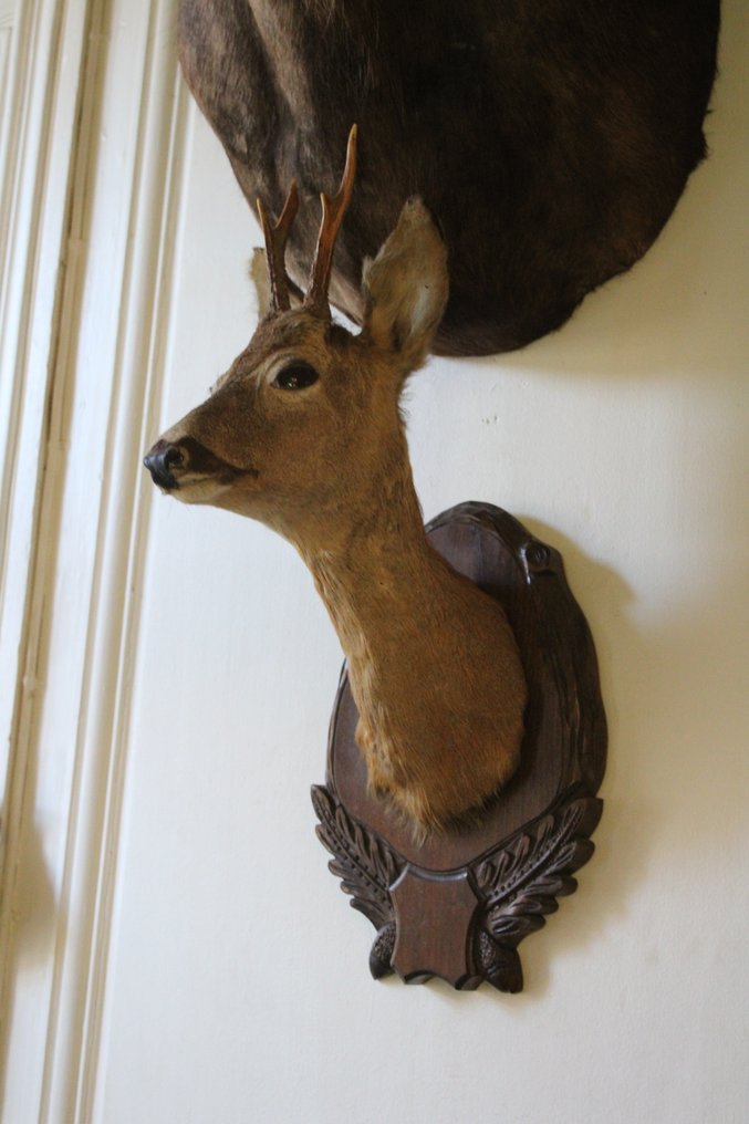 Metsästyspalkinto #2.1