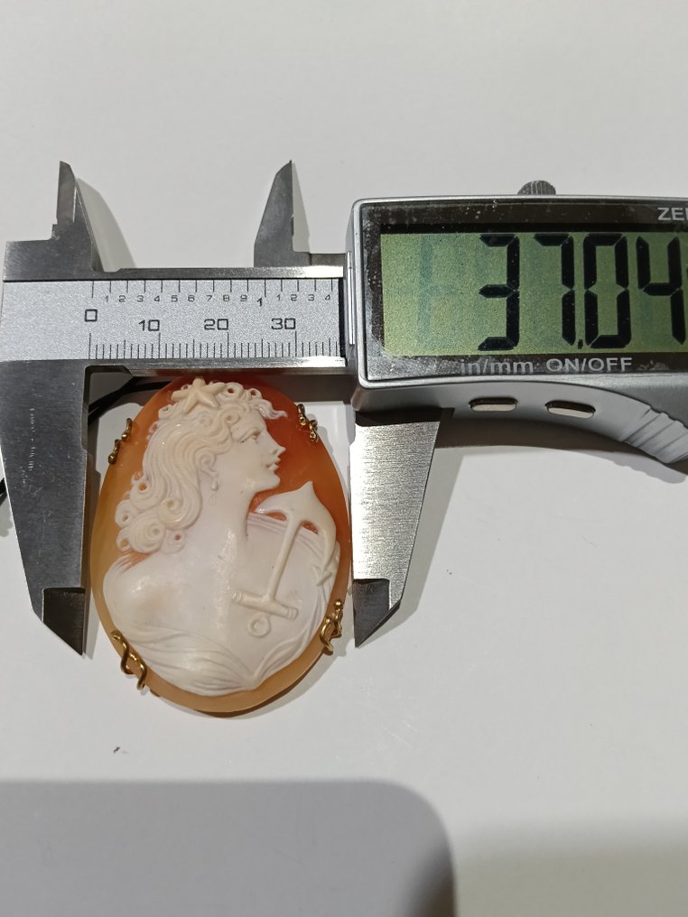 玉髓 - 银 - 浮雕贝壳 #2.1