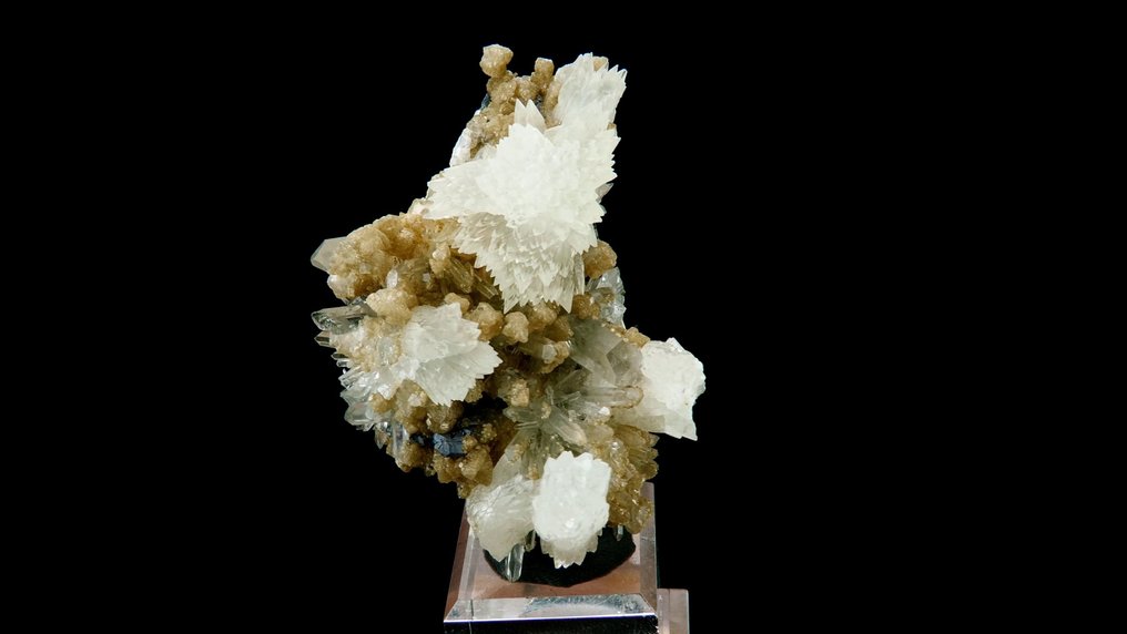 Calcite 'bowties' with Dolomite on Quartz and Galena - Cavnic mine, Maramureș, Carpathians, Romania - Height: 5.5 cm - Width: 4.2 cm- 56 g #1.0