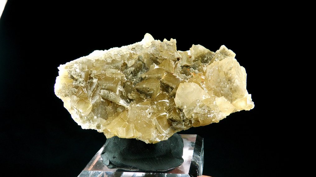 Ασβεστίτης Cap Blanc-Nez, Pas-de-Calais, Γαλλία - Ύψος: 10 cm - Πλάτος: 5.8 cm- 208 g #4.3