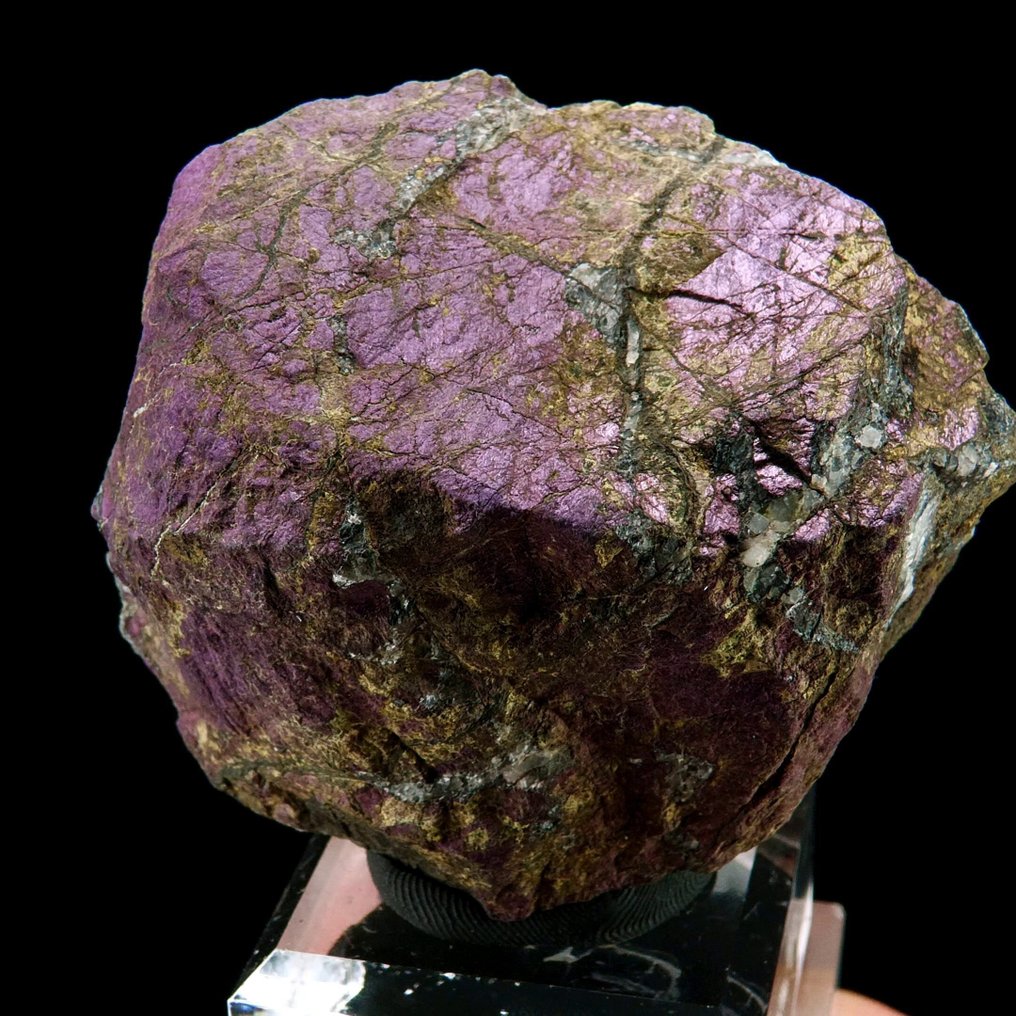 Purpuryt - - Wysokość: 7 cm - Szerokość: 4.8 cm- 236 g #1.0