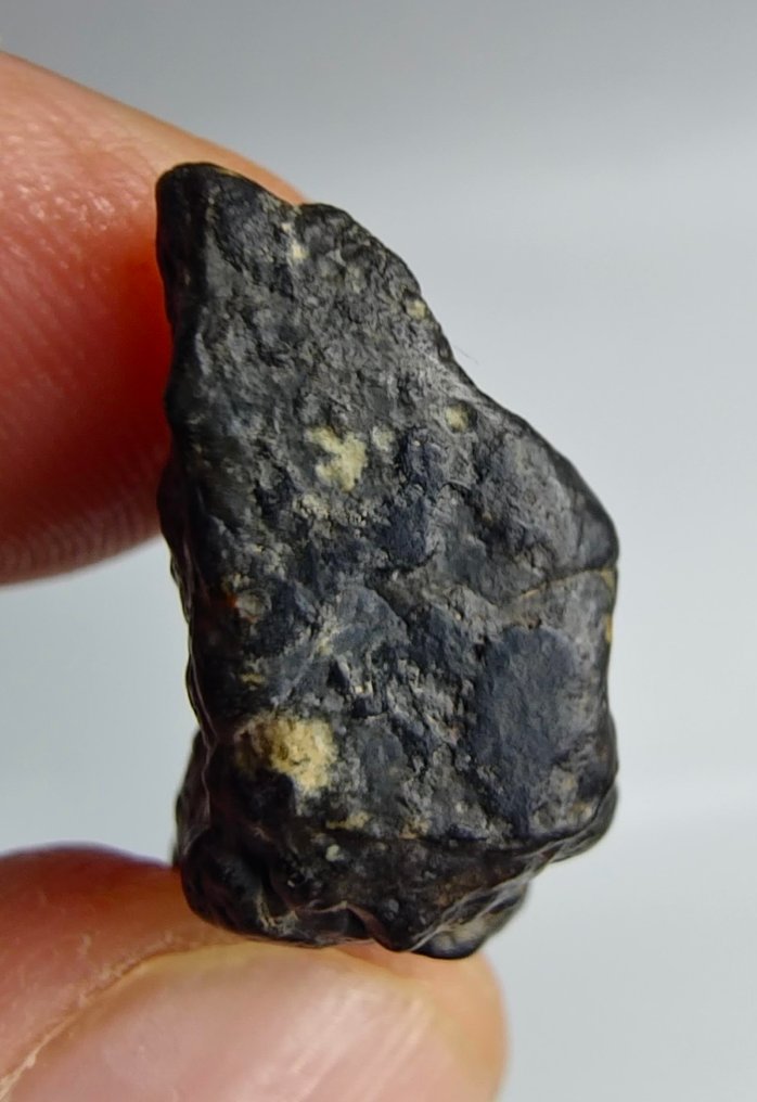 Meteorite. CVoxA3. Kulstofholdig (NWA 17324). - 5.34 g - (1) #1.0