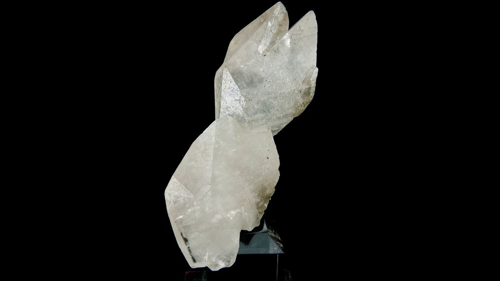 Αλκαλίτης (διπλωμένος, επιπλέον) - La Joue du Loup, Dévoluy, Άλπεις, Γαλλία - Ύψος: 6 cm - Πλάτος: 3 cm- 32 g #3.2