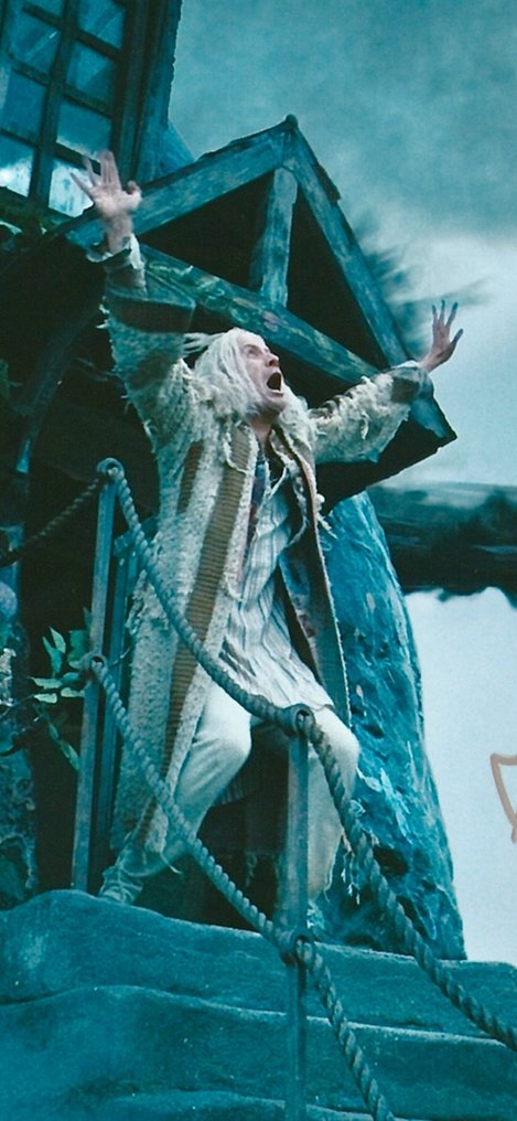 Harry Potter - Signed by Rhys Ifans (Xenophilius Lovegood) #3.2