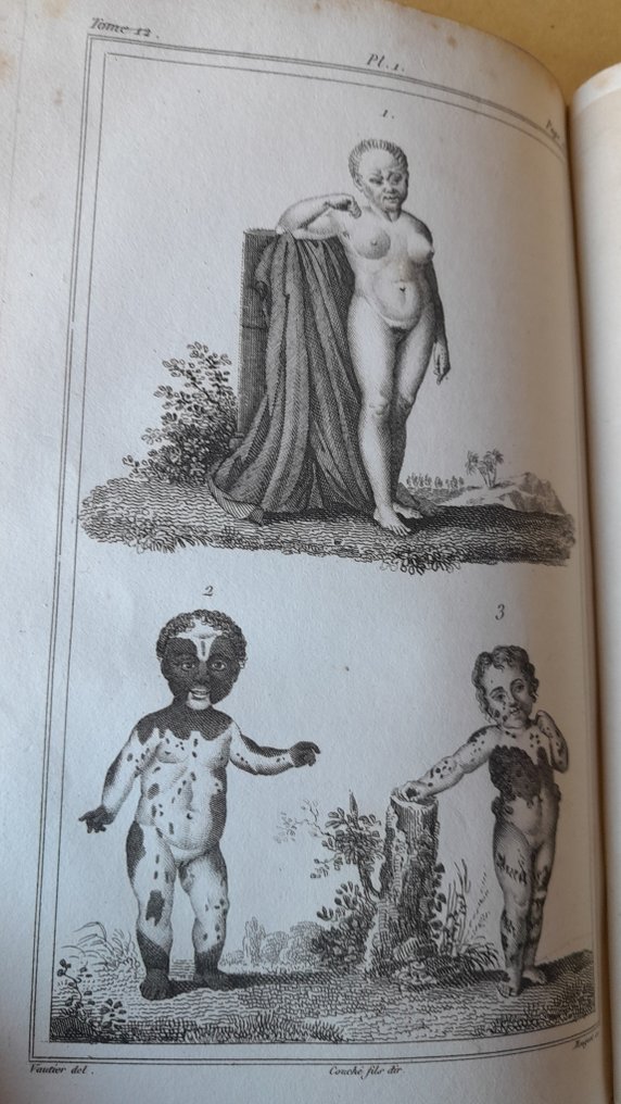 Comte de Buffon - Oeuvres complètes: Vol.7,histoire des minéraux (diamant,rubis,or...)-Vols 8 et 9,histoire de l'homme - 1833-1835 #2.1
