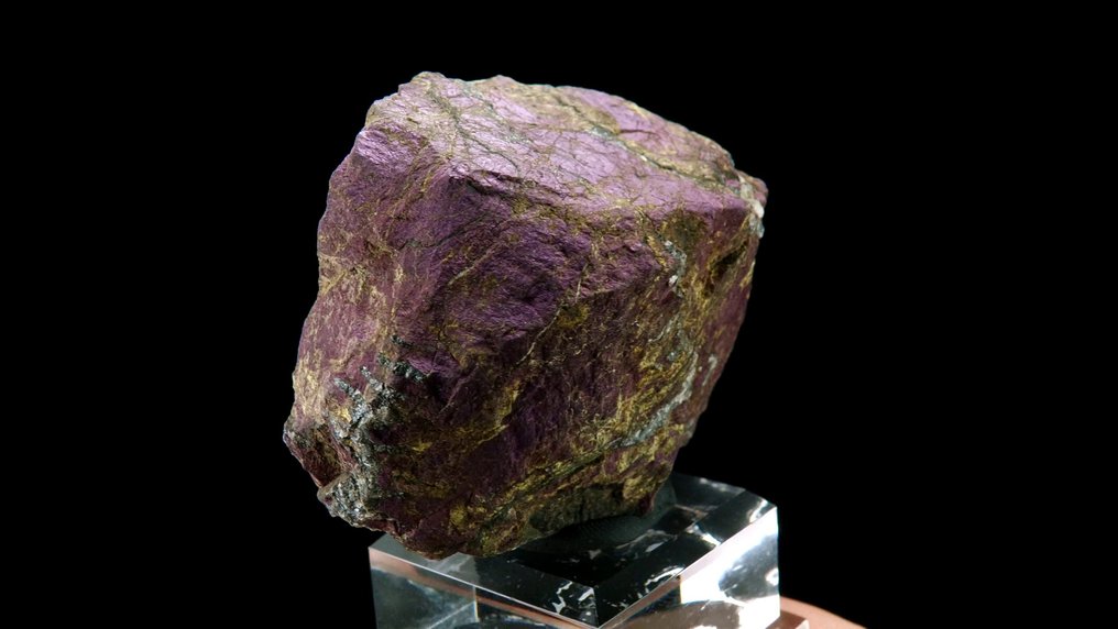 Purpuryt - - Wysokość: 7 cm - Szerokość: 4.8 cm- 236 g #4.3