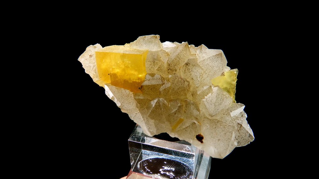 Fluorite on Quartz with Goethite inclusions - Aouli, Midelt, Middle Atlas, Morocco - Height: 6.4 cm - Width: 4 cm- 52 g #2.1