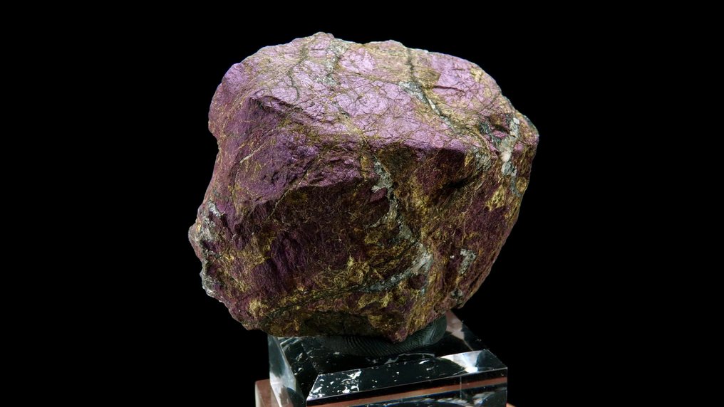 Purpuryt - - Wysokość: 7 cm - Szerokość: 4.8 cm- 236 g #1.0