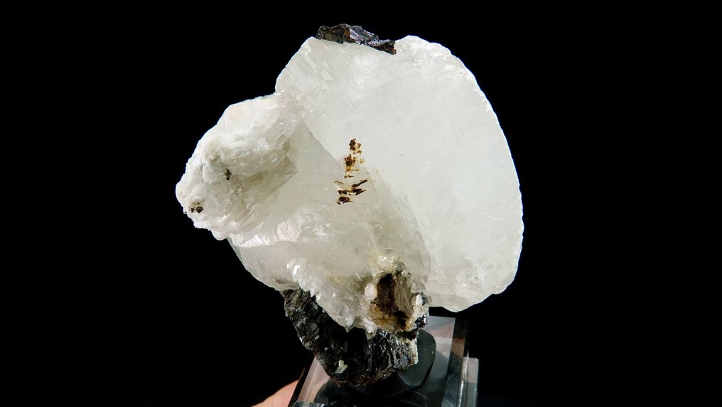 Calcit på Sphalerit - Tyskland - Højde: 7.7 cm - Bredde: 7 cm- 252 g #1.0