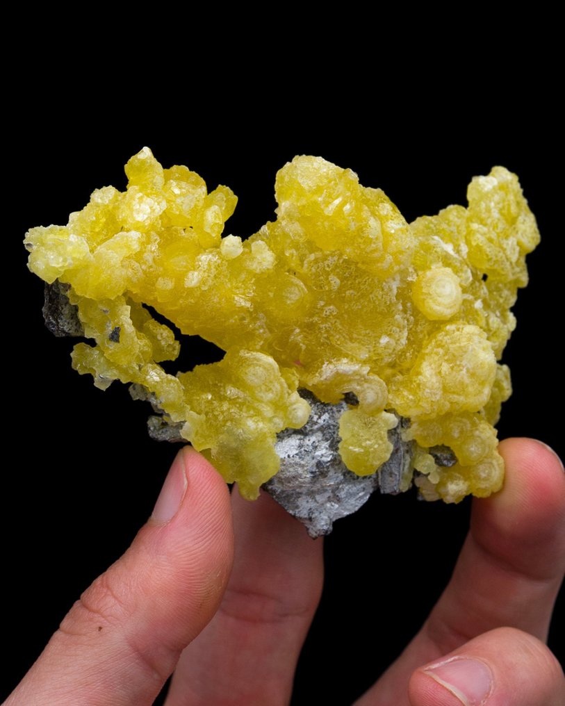 璀璨柠檬黄的绿泥石 关于矩阵 - 高度: 6.7 cm - 闊度: 9 cm- 59 g - (1) #3.2