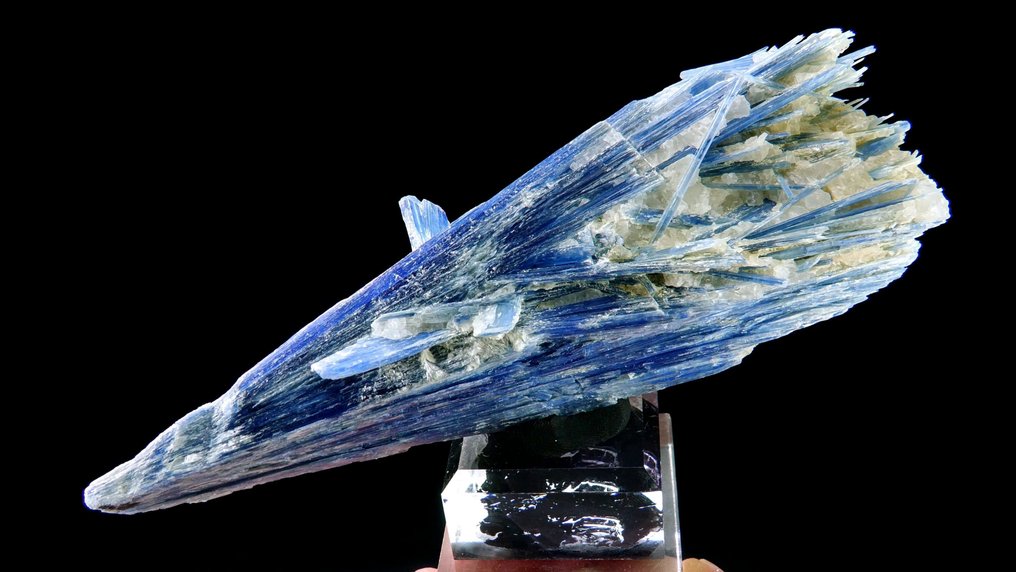 蓝晶石在石英中 - 圣若泽达萨菲拉，米纳斯吉拉斯州，巴西 - 高度: 15.5 cm - 闊度: 4.5 cm- 361 g #3.2