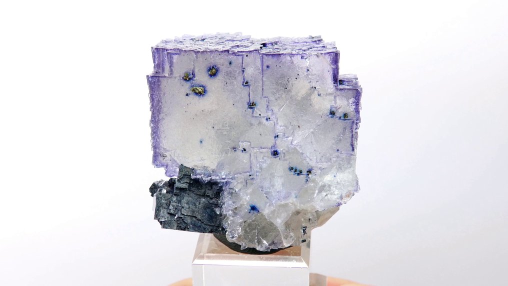 Fluorite (a zone) con inclusioni di Chalcopyrite e Galena - Miniera di Elmwood, Carthage, Tennessee, Stati Uniti - Altezza: 4.3 cm - Larghezza: 4 cm- 140 g #2.1