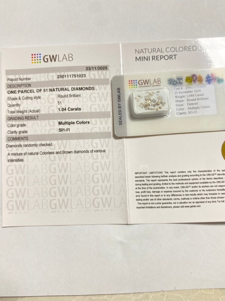 Zonder minimumprijs - 51 pcs Diamant  (Natuurlijk)  - 1.04 ct - Rond - SI1, P1 - Gemewizard Gemological Laboratory (GWLab) #4.3