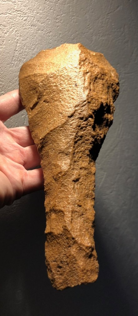 Paleolithic Exceptional Micoquian Acheulean biface - 22 cm #3.2