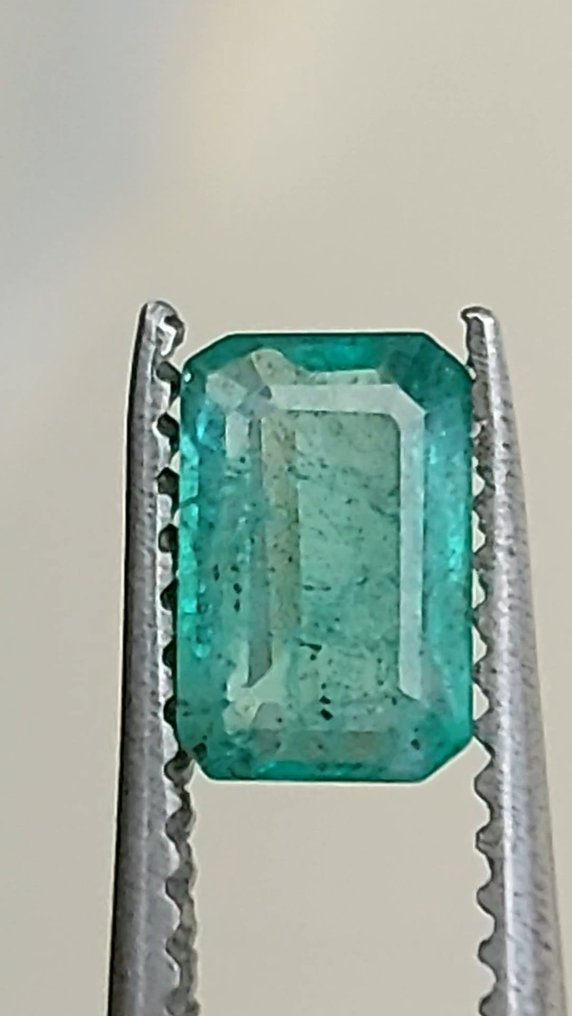 祖母綠  - 1.01 ct - Antwerp Laboratory for Gemstone Testing (ALGT) #1.0