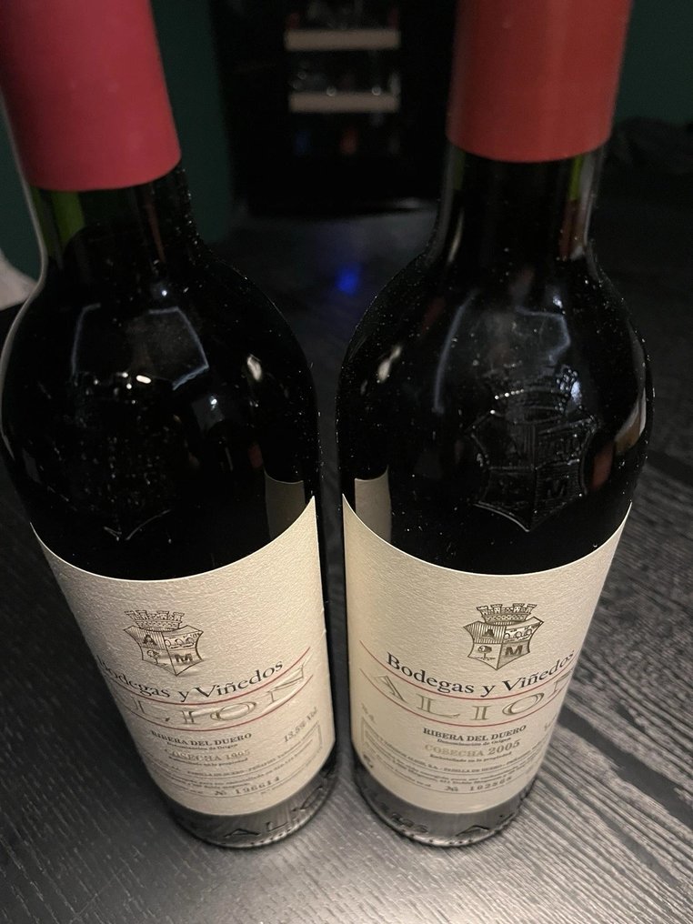 1995 & 2005 Bodegas y Viñedos Alión - Ribera del Duero - 2 Pullot (0.7 L) #2.1