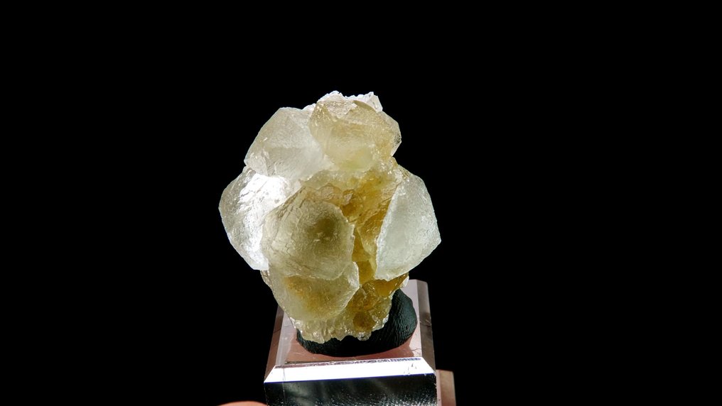 Φθορίτης (τετραεξάεδρο) - Ορυχείο Deer Trail, Mount Baldy, Utah, Ηνωμένες Πολιτείες - Ύψος: 3.5 cm - Πλάτος: 3 cm- 35 g #4.3