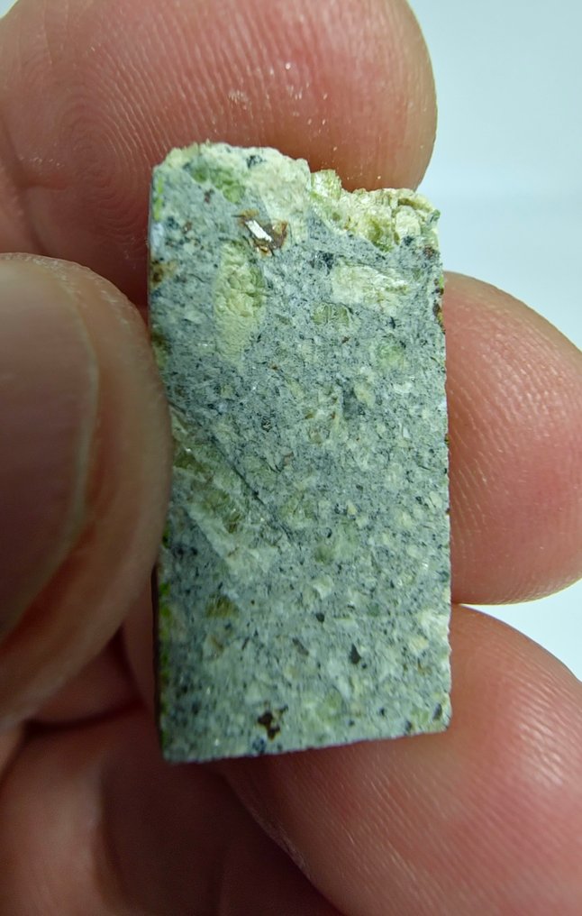 Dunite. Ain Ben Tili 004. Achondrite non classificata - 2.04 g - (1) #3.2