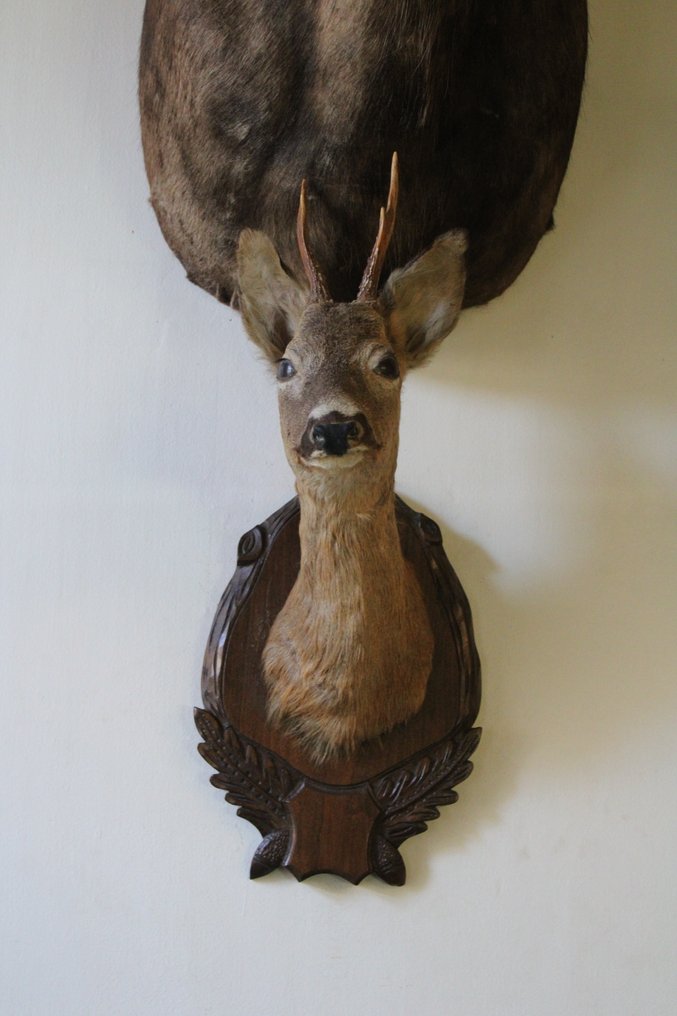 Metsästyspalkinto #1.0