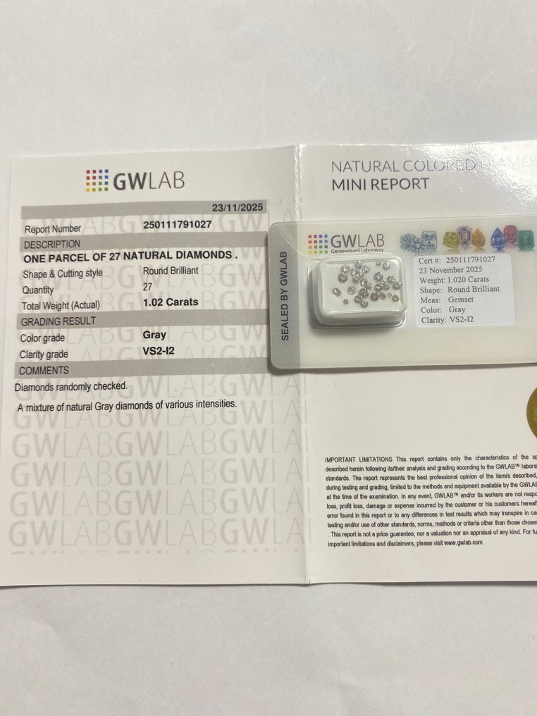 Ohne mindestpreis - 27 pcs Diamant (Natürlich) - 1.02 ct - Rund - VS2, I2 - Gemewizard Gemological Laboratory (GWLab) #4.3
