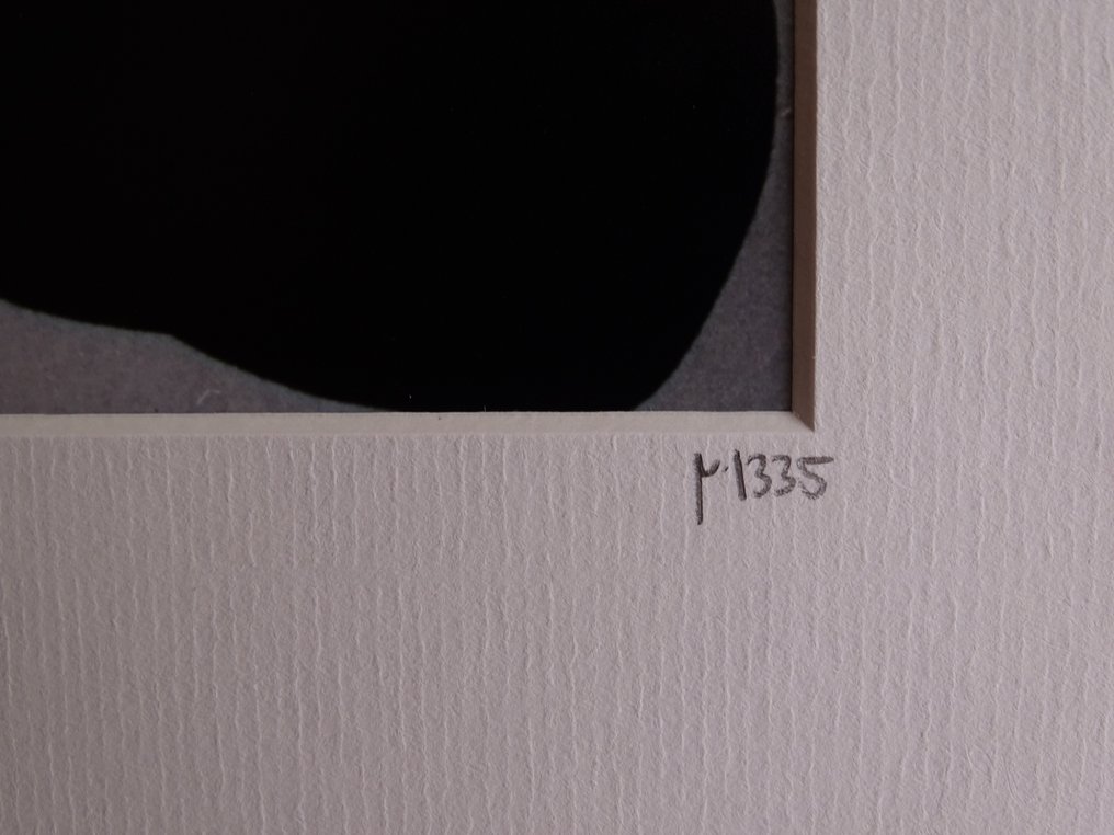 Oliviero Toscani (1942-) - Andy Warhol with Polaroid #1.0