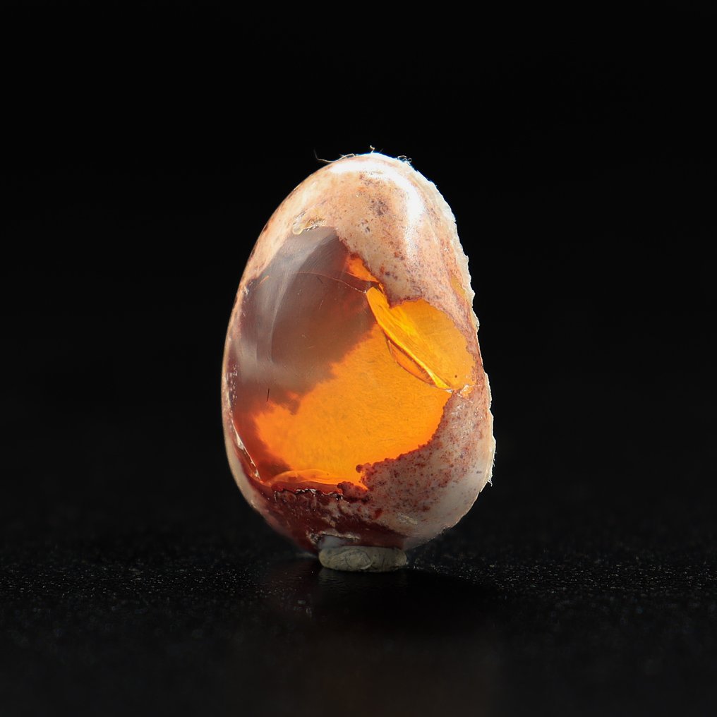 Mexican Cantera Fire Opal • NO RESERVE PRICE • 6.23 ct - Height: 16 mm - Width: 12 mm- 1.24 g - (1) #2.1